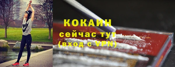 молекула духа Майский