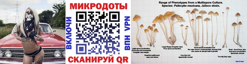 Галлюциногенные грибы мицелий  МЕГА рабочий сайт  Пенза  закладки 